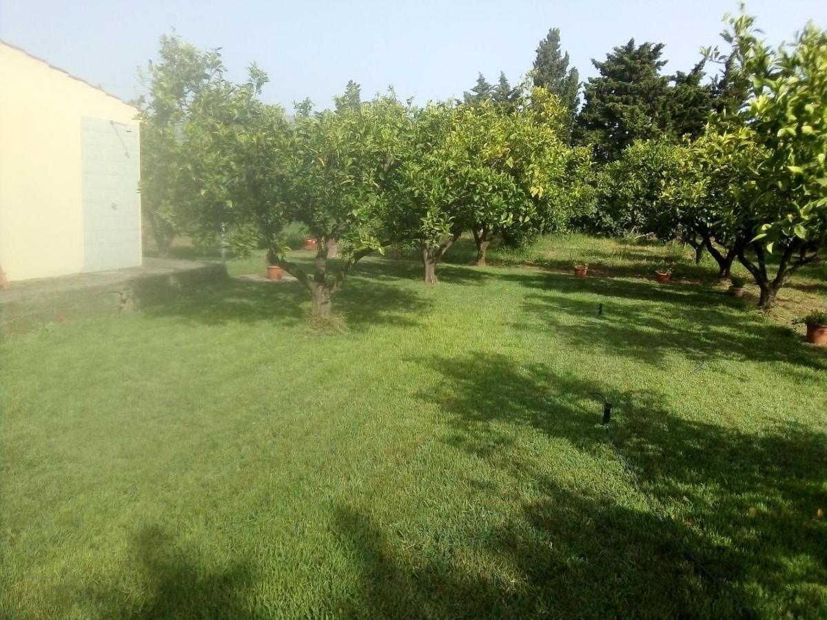 Appartamento In Orosei In Villa Delle Arance 300Mt Dalla Spiaggia المظهر الخارجي الصورة