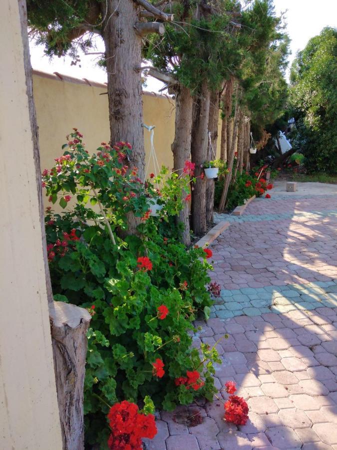 Appartamento In Orosei In Villa Delle Arance 300Mt Dalla Spiaggia المظهر الخارجي الصورة